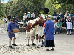 IMG_0490